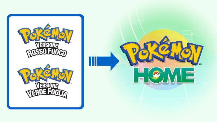 Link Preview Image